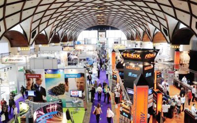 2014 – ŐSZI KIÁLLÍTÁSOK